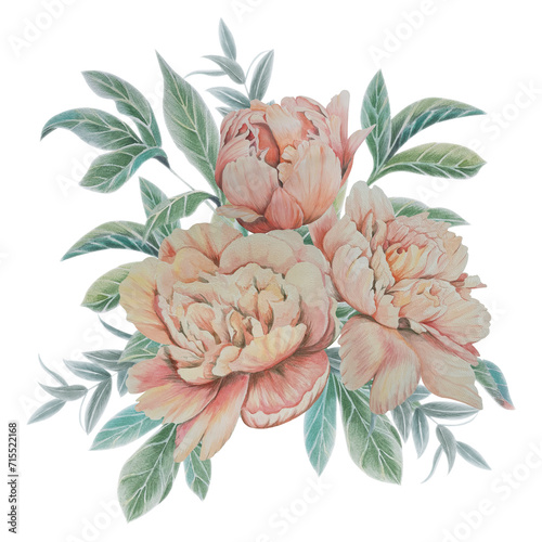 Watercolor flowers peonies, set of png, flower bouquet