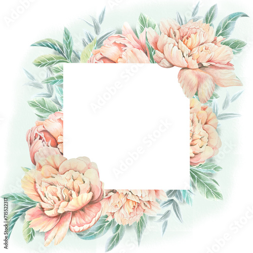 floral frame, PNG, watercolor peonies hand drawing, postcard frame
