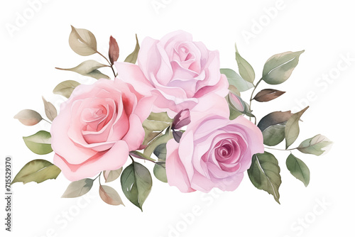 watercolor pink rose bouquet illustration