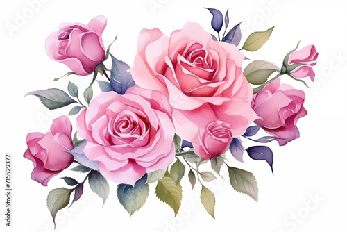 watercolor pink rose bouquet illustration
