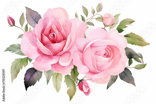 watercolor pink rose bouquet illustration photo