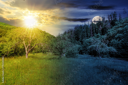 forest glade in the cool shade of trees in summer with sun and moon at twilight. day and night time change concept. mysterious countryside scenery in morning light © Pellinni