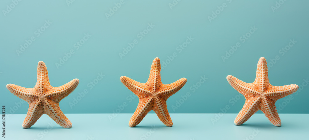 Starfish on Seashell: Tranquil Tropical Ocean Escape with White Background Starfish on Seashell: Tranquil Tropical Ocean Escape with White Background