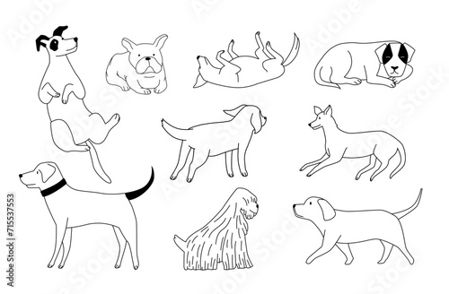 Cute doodle dog. Furry playful domestic animals of different breeds. Adorable puppies outlines in various positions