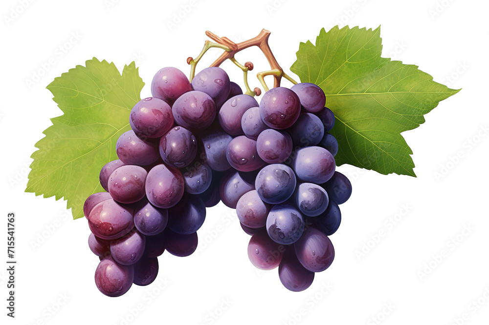 Fototapeta premium A bunch of red grapes. The file contains clipping paths isolated on a Transparent background. Generative AI