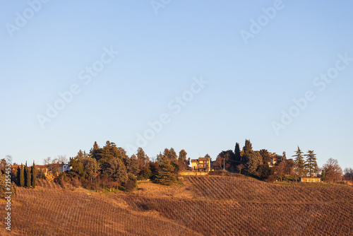 vigneti sui colli piacentini