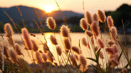 Scary creepy grass next to a river sun set UHD wallpaper