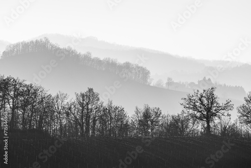 nebbia tra i colli piacentini photo