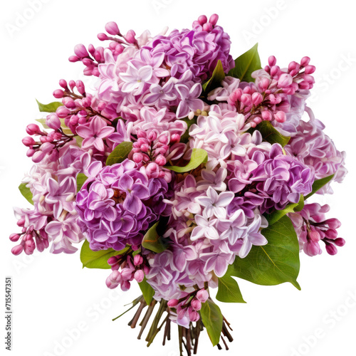 Lilac: It's like the first love of adolescence. © kanyarat