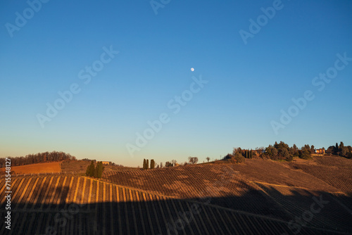 vigneti sui colli piacentini