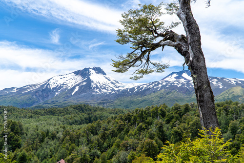 Mocho Choshuenco National Reserve in southern Chile. photo