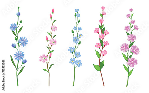 Set of beautiful twigs with small flowers in cartoon style. Vector illustration of different colored wildflowers with blue, pink, purple flowers and green leaves isolated on white background.
