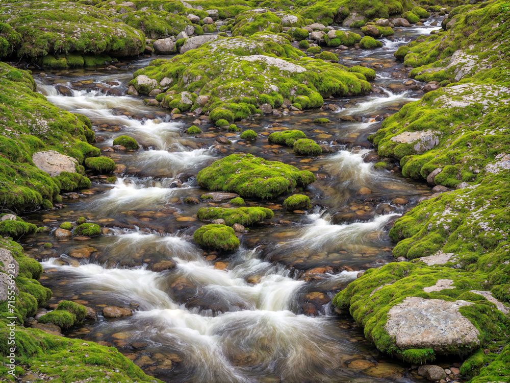 Moss-Covered Stones in a Mountain Stream Moss-Covered Stones in a Mountain Stream