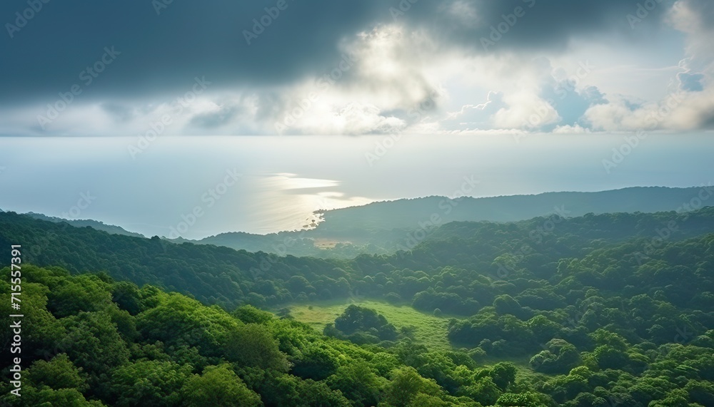 Fototapeta premium View of the sea of clouds from the top of the mountain peak before storm. Tropical rainforest.