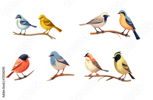 Colorful birds set isolated vector style on isolated background illustration © Павел Озарчук