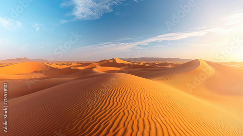 The vastness of the desert with the endless panorama of rolling sand dunes