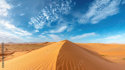 The vastness of the desert with the endless panorama of rolling sand dunes