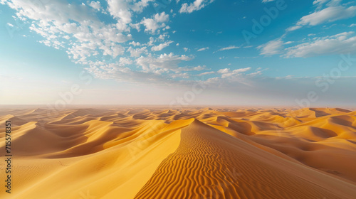 The vastness of the desert with the endless panorama of rolling sand dunes