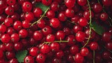 Close-up Photo of a Bunch of Red Berries With Green Leaves
