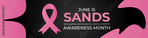Sands (stillbirth and neonatal death charity) awareness month. Every june stillbirth awareness concept for banner, poster, flyer, brochure, cover, backdrop, card and background design. vector