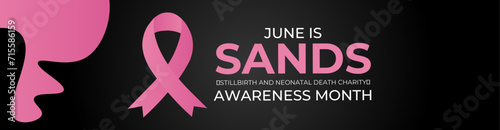 Sands (stillbirth and neonatal death charity) awareness month. Every june stillbirth awareness concept for banner, poster, flyer, brochure, cover, backdrop, card and background design. vector