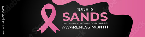 Sands (stillbirth and neonatal death charity) awareness month. Every june stillbirth awareness concept for banner, poster, flyer, brochure, cover, backdrop, card and background design. vector