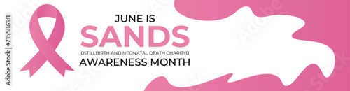 Sands (stillbirth and neonatal death charity) awareness month. Every june stillbirth awareness concept for banner, poster, flyer, brochure, cover, backdrop, card and background design. vector