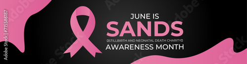 Sands (stillbirth and neonatal death charity) awareness month. Every june stillbirth awareness concept for banner, poster, flyer, brochure, cover, backdrop, card and background design. vector