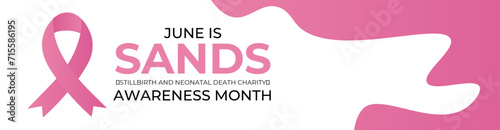 Sands (stillbirth and neonatal death charity) awareness month. Every june stillbirth awareness concept for banner, poster, flyer, brochure, cover, backdrop, card and background design. vector