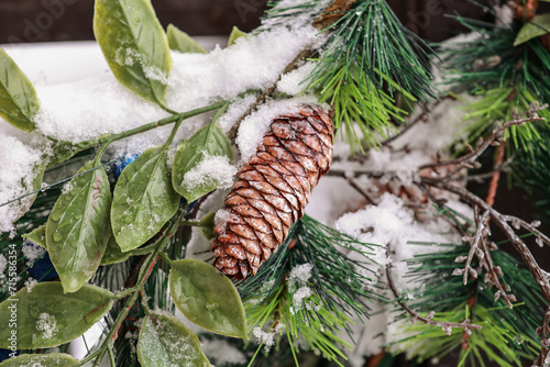 Pinecone. Christmas arrangement. Pine branches.