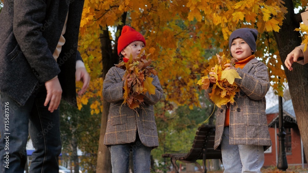 Delighted family gathers autumn leaves among trees for throwing up together. Parents and children stand close to each other keeping armful of maple leaves. Family spends time collecting golden leaves