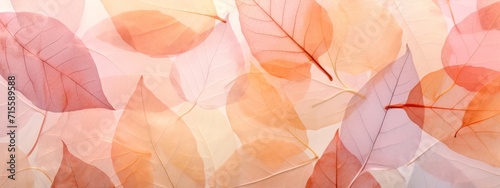 Abstract peach fuzz colored translucent layered fallen autumnal leaves, macro nature, autumn fall illustration background banner texture pattern.