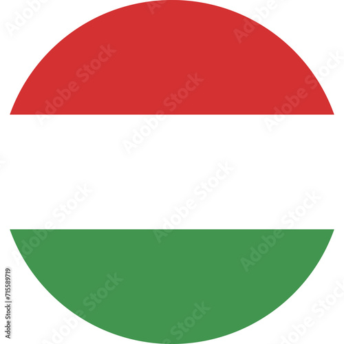 Hungary flag national emblem graphic element illustration template design. Flag of Hungary- vector illustration photo