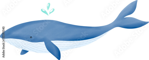 blue whale watercolor art hand drawn illustration isolated on transparent background 
