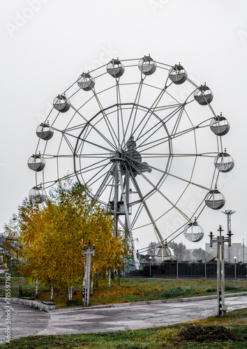 Attraction Ferris wheel with bright yellow autumn tree against the gray sky