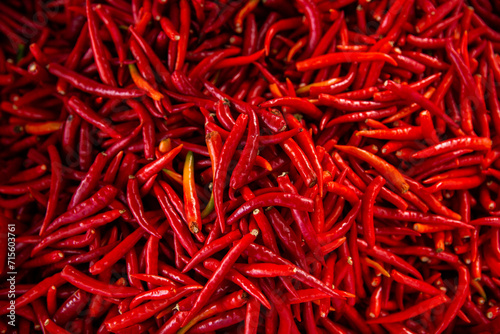 hundreds of spicy red chillies for sale photo