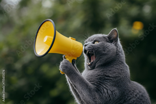 Playful Grey Cat Amplifies Its Voice With A Yellow Loudspeaker. Сoncept Funny Pug Wearing A Party Hat Balancing On A Ball, Impromptu Dance Battle In The Park, Serene Lakeside Sunset