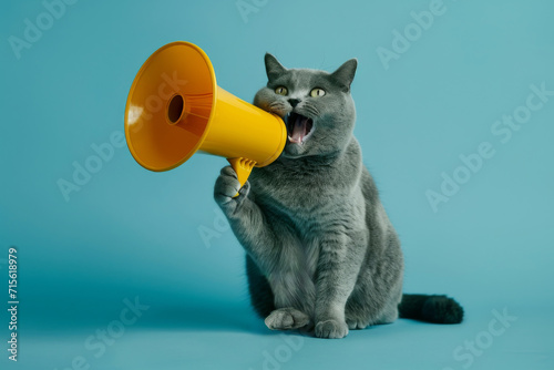 Humorous Grey Cat Uses Yellow Megaphone On Blue Background For Creative Communication. Сoncept Creative Communication, Humorous Grey Cat, Yellow Megaphone, Blue Background
