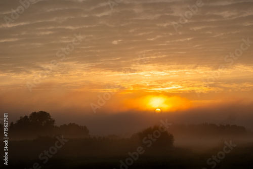This image is a soul-stirring display of a sunrise over a mist-laden landscape. The sun  a fiery orb  hangs just above the horizon  casting a warm and vibrant glow that pierces through the fog. Layers