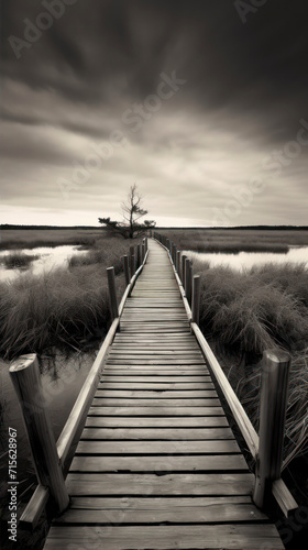 Black and white photo of a wooden boardwalk in the wetlands.