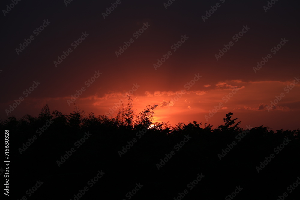 sunset over the field