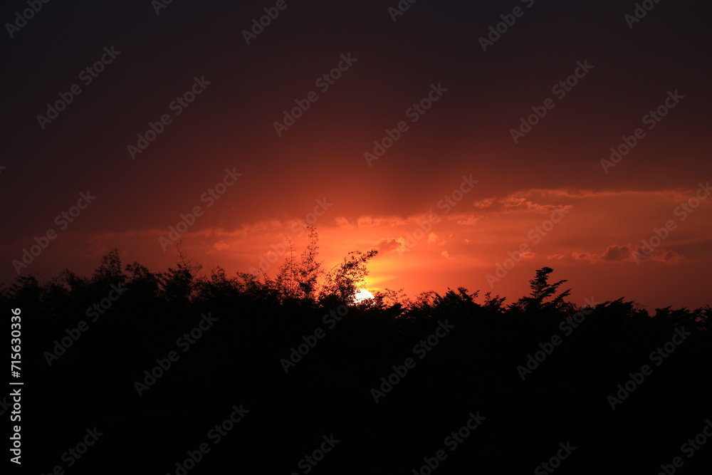 sunset over the field