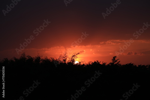 sunset over the field