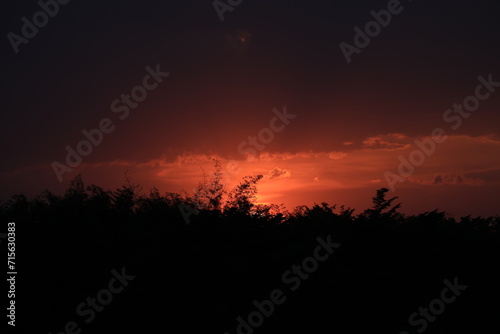 sunset in the forest
