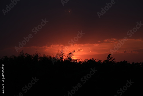 sunset in the forest