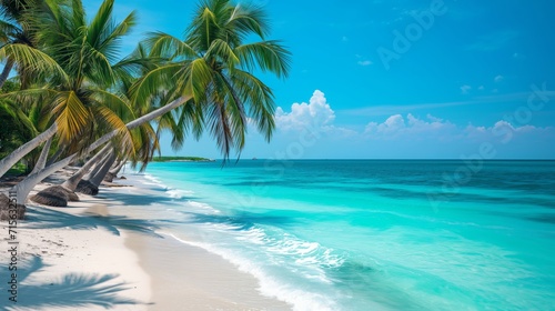 Panorama of a beautiful tropical island with palm trees and white sand beach - AI Generated © mbruxelle