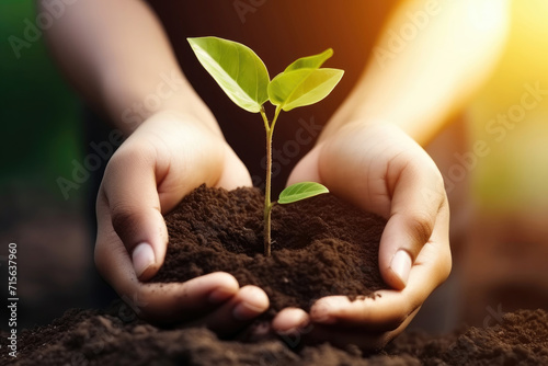 Environment Day, Human Hand Holding Soil with Newborn Small Tree, Young Plant Growing in Morning Sunlight, Aerial View with Blur Background for Plantations, Earth Day