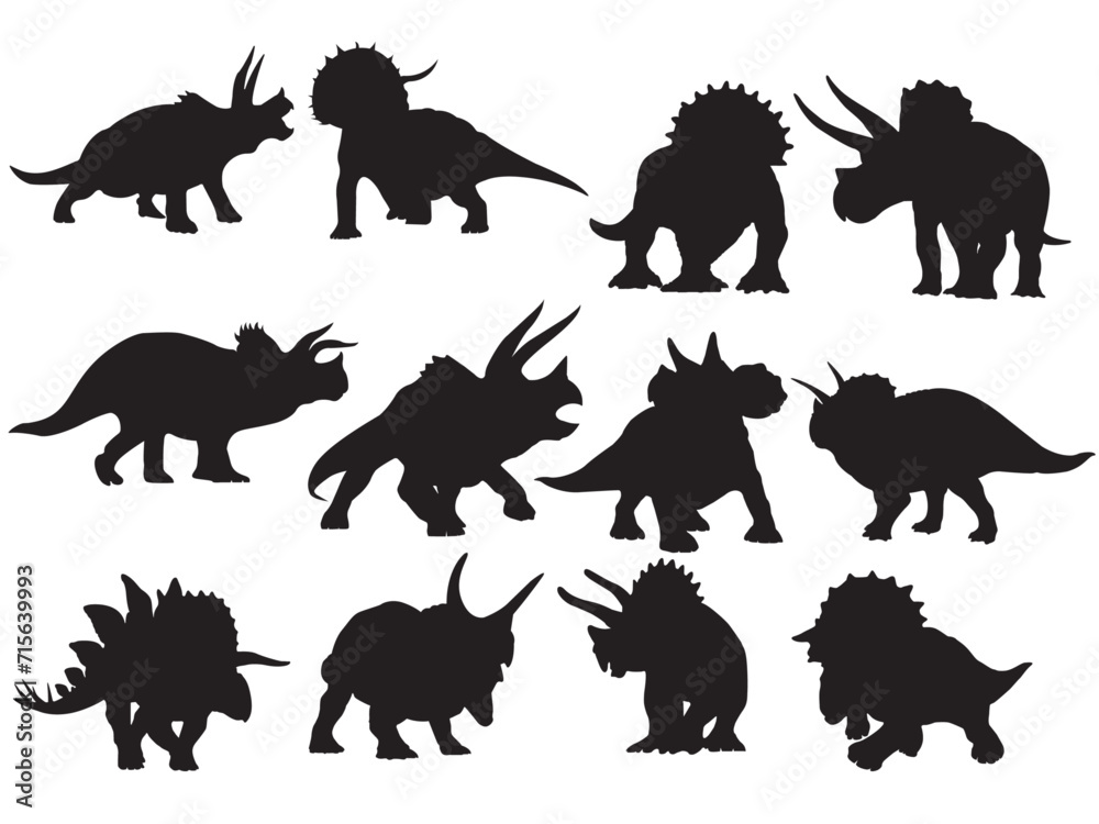 Obraz premium TRICERATOPS