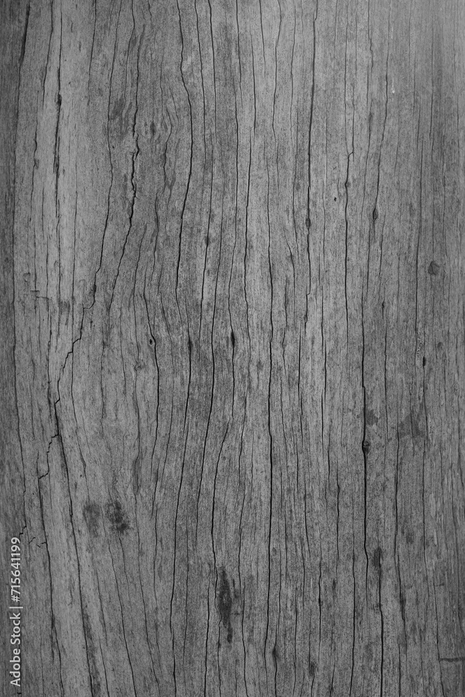 Close up wood texture background Close up wood texture background