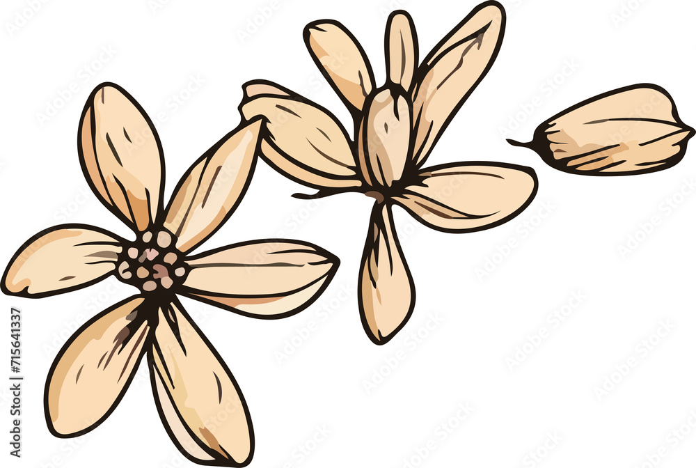cinnamon design illustration isolated on transparent background
cinnamon design illustration isolated on transparent background